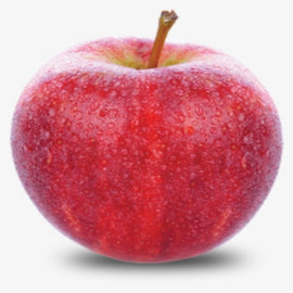 APPLE GALA