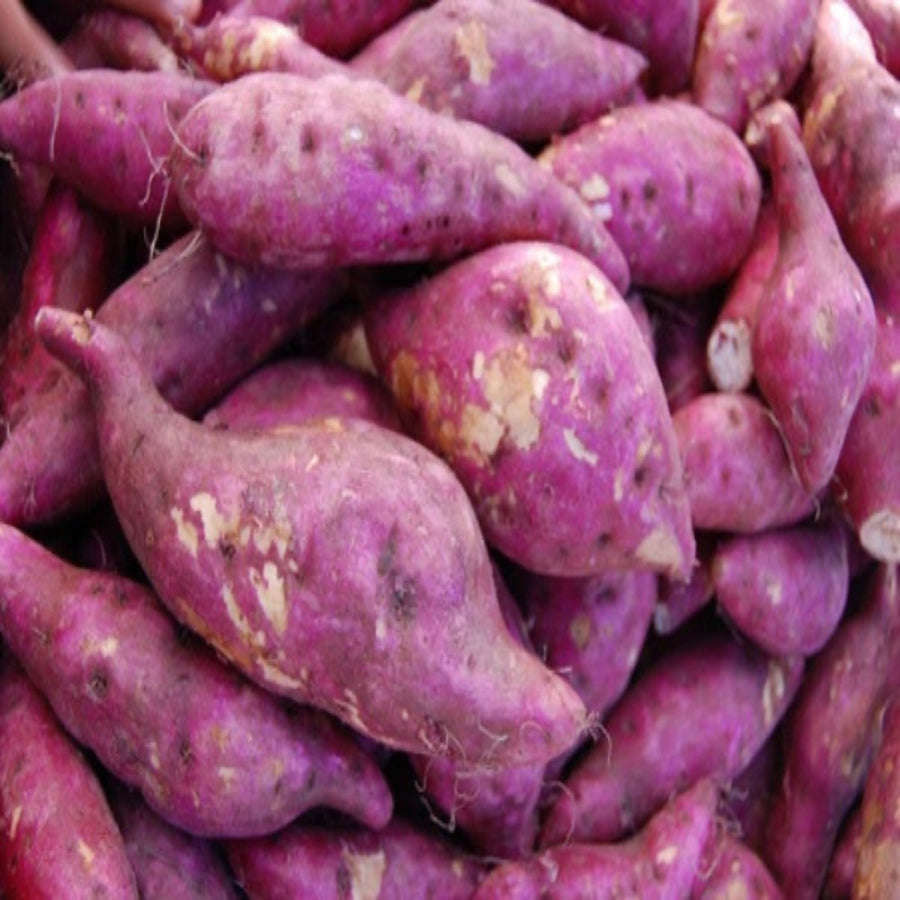 BATATA