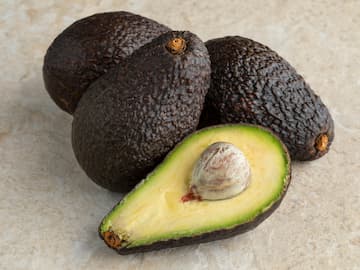 Avocado Hass