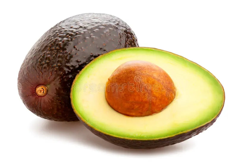 Avocado Hass