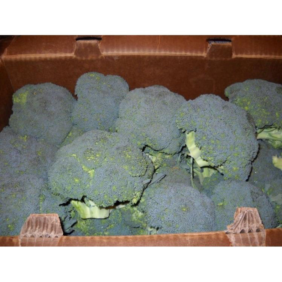 BROCCOLI,CROWN