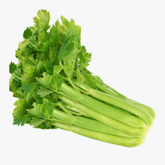 CELERY NEKED