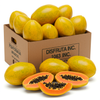 PAPAYA