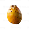 CACTUS PEAR