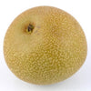 APPLE PEAR SHINKO