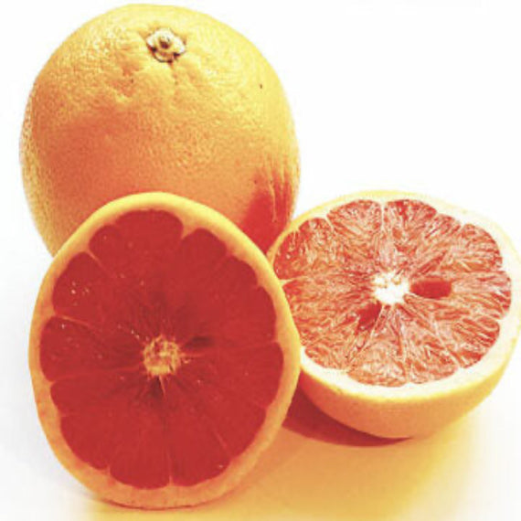 GRAPEFRUIT STARRURY