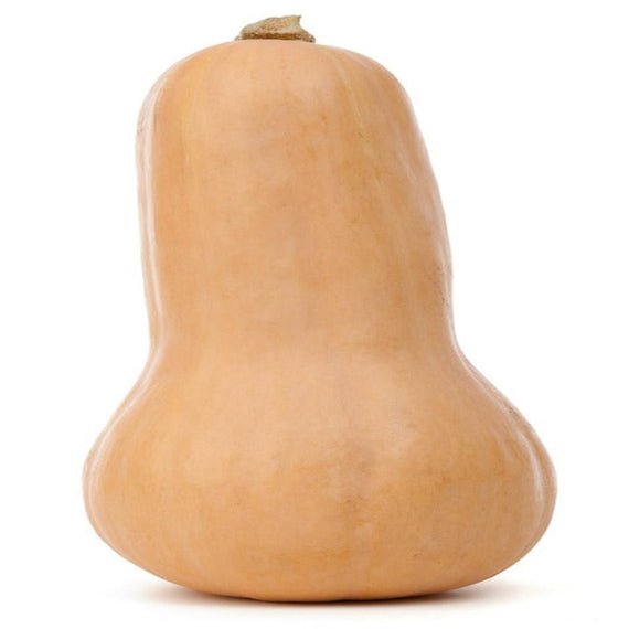 SQUASH BUTTERNUT