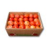 TOMATO 5X6