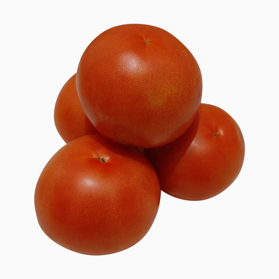TOMATO 5X6