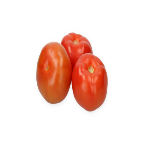 TOMATO 5X6