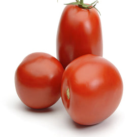 TOMATO PLUM
