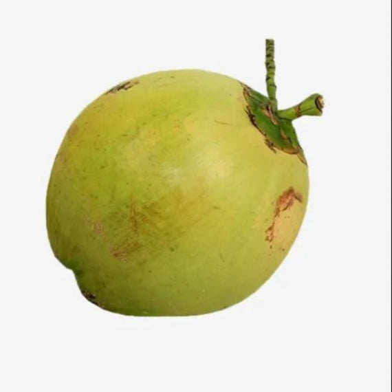 GREEN COCONUT FRESH