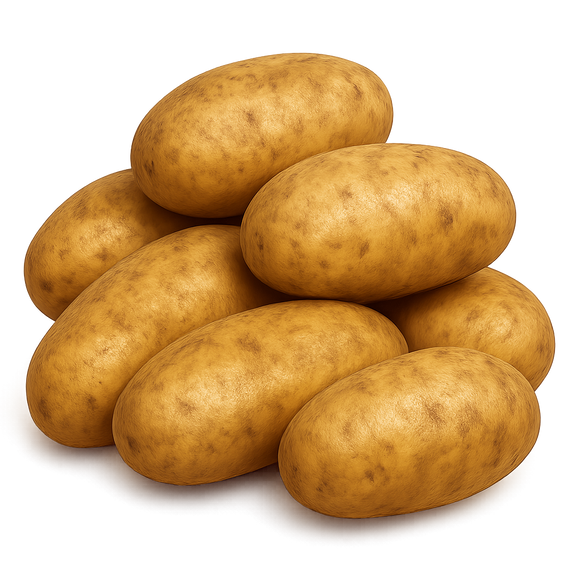Potato Russet