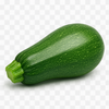 GREEN SQUASH FRESH