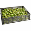 TOMATILLO