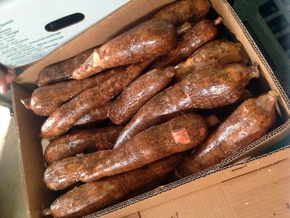 Yuca  (Tropical Fresh)