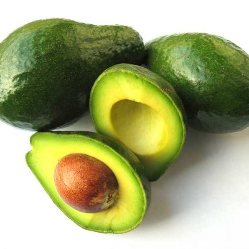 Avocado Green florida