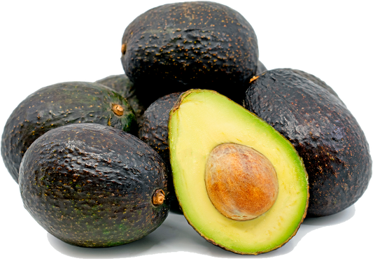Avocado Hass