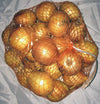 ONION SPANISH