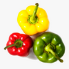 GREEN PEPPER