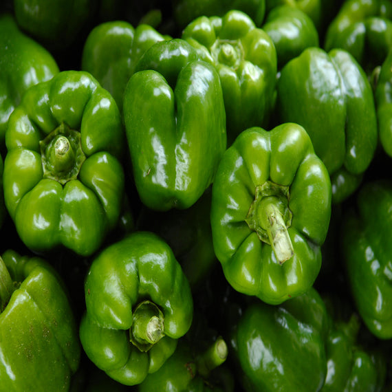 GREEN PEPPER