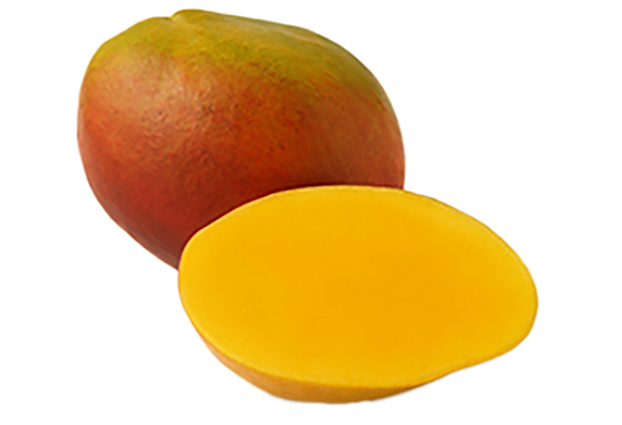 Mango Kent