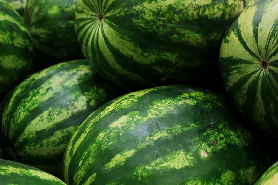 Watermelon Seedless