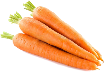 carrot fresh