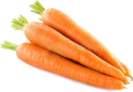CARROT FRESH