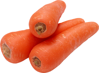 carrot fresh