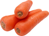 CARROT FRESH